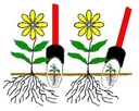 Garden Bandit™ Telesco-Weeder