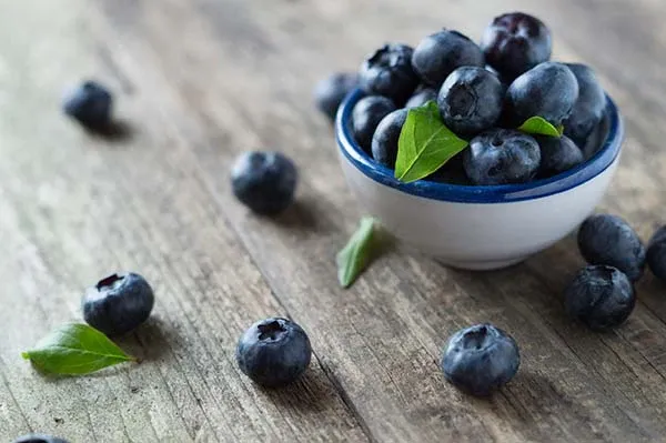 blueberries-4011294pb Northcountry.webp