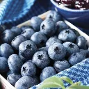 blueberry-northland-14271134203967.webp