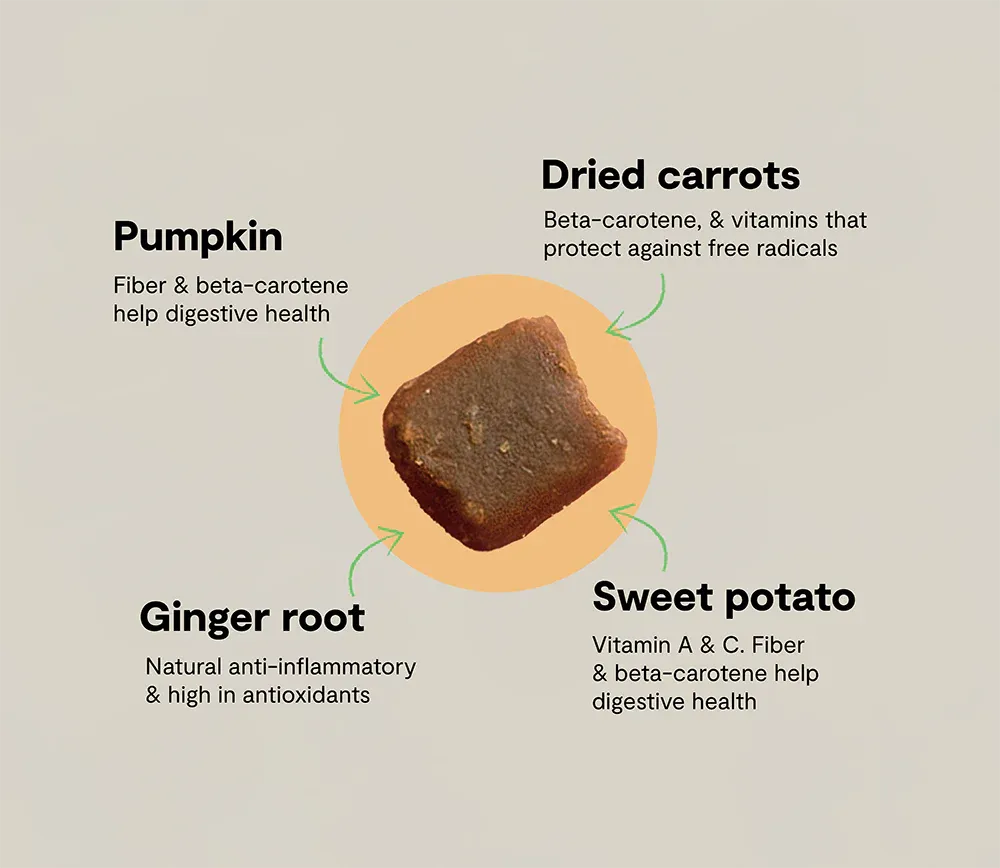 Probiotic Food Supplement Chews for Dogs 3.webp