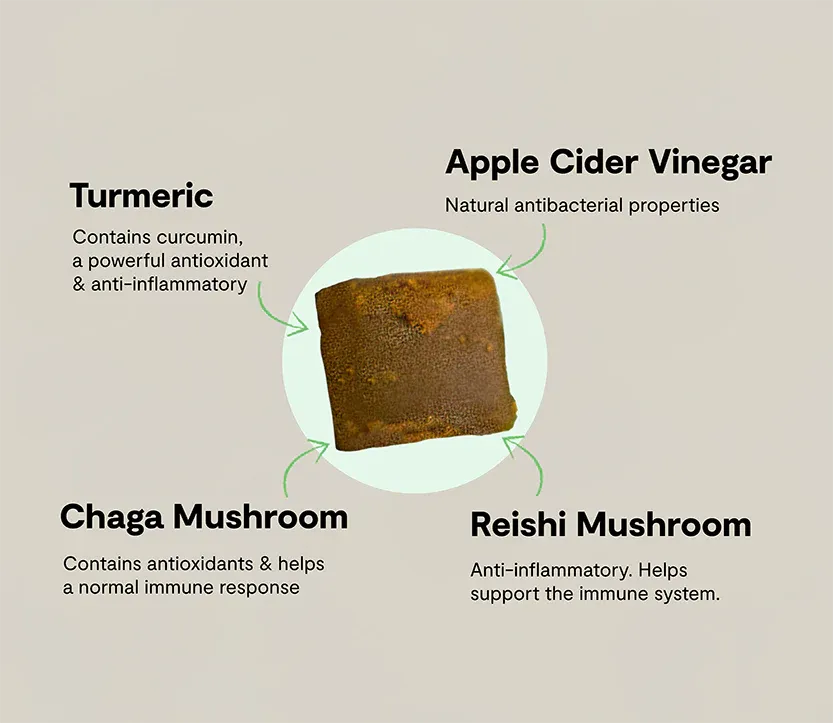 Immune Health Supplement Chews for Dogs 3.webp