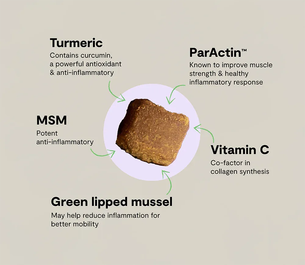 Hip & Joint Health Supplement Chews for Dogs  3.webp