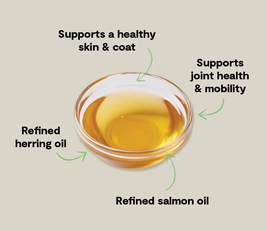 Icelandic Herring & Salmon Oil For Dogs  2.webp