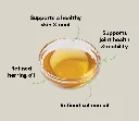 Icelandic Herring & Salmon Oil For Dogs  2.webp