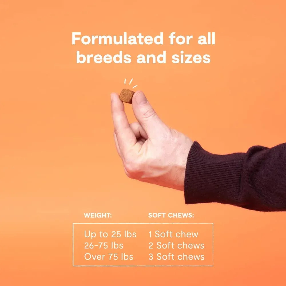 Probiotic Food Supplement Chews for Dogs 5.webp