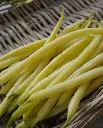 WCS Bean - Gold Rush Certified Organic