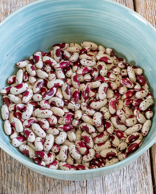 WCS Bean - Jacob's Cattle Bean Organic