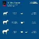 3-1-zinc-copper-directions-for-use-horse-supplement-mad-barn.webp