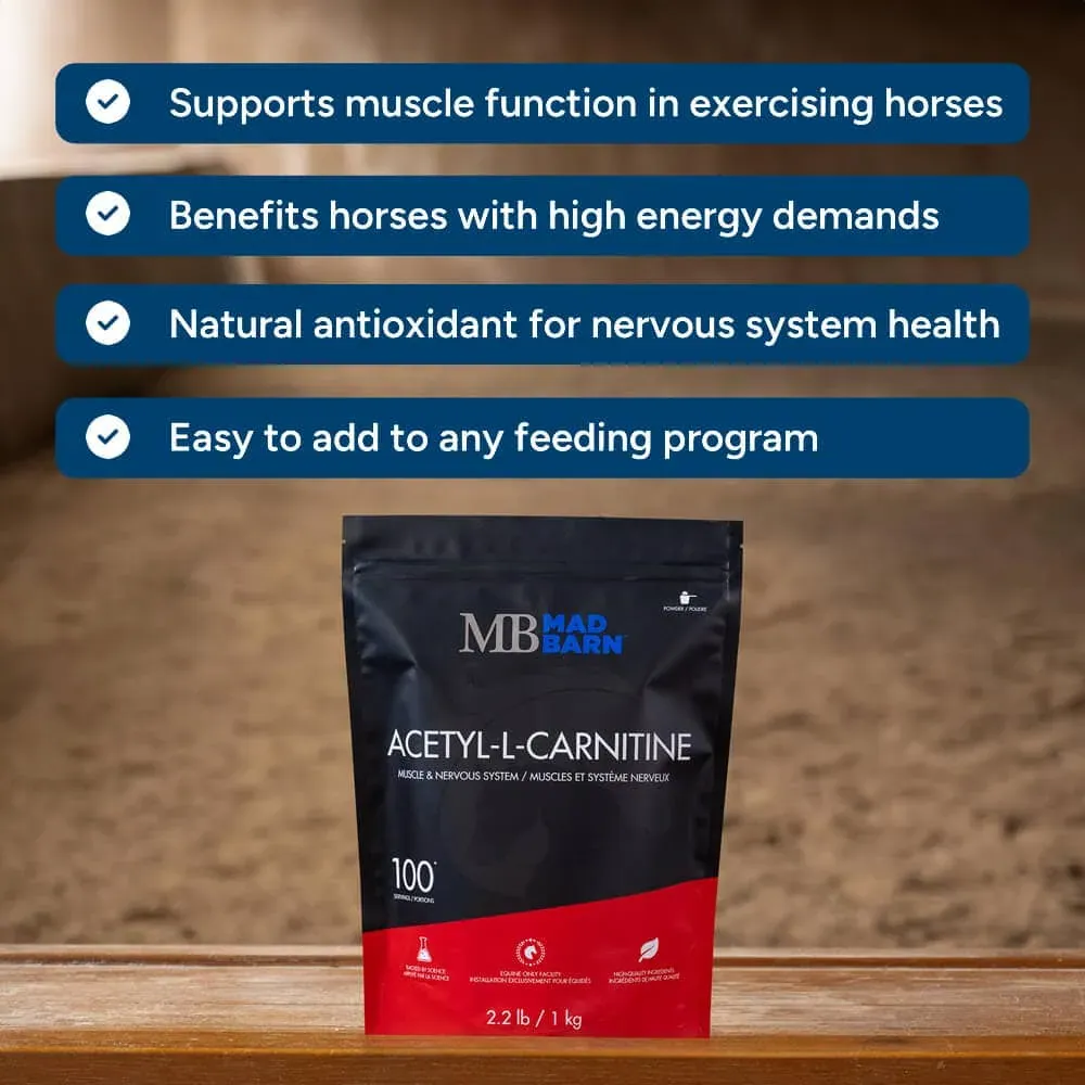 acetyl-l-carnitine-supplement-for-horses-energy-metabolism-mad-barn-equine-1000.webp