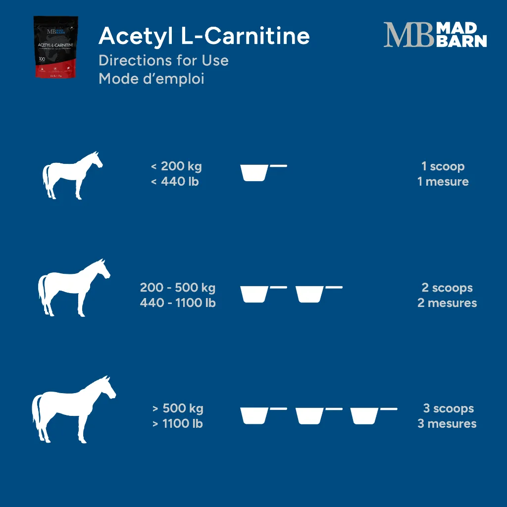 acetyl-l-carnitine-directions-for-use-horse-supplement-mad-barn.webp