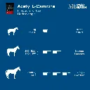 acetyl-l-carnitine-directions-for-use-horse-supplement-mad-barn.webp