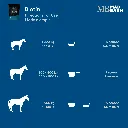 MB Biotin #5.webp