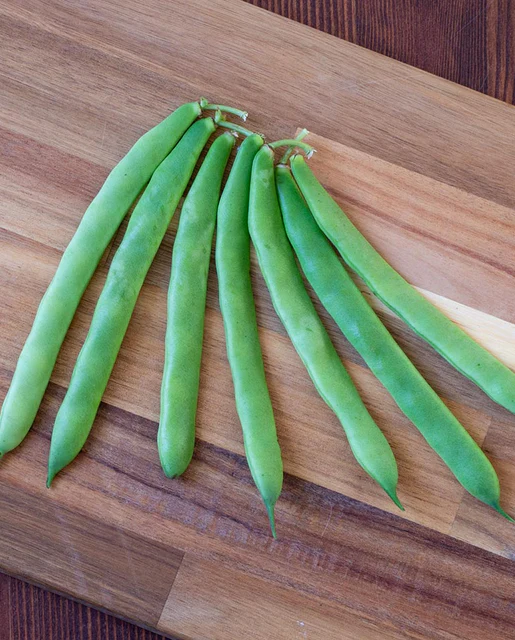 WCS Bean - Jacob's Cattle Bean Organic