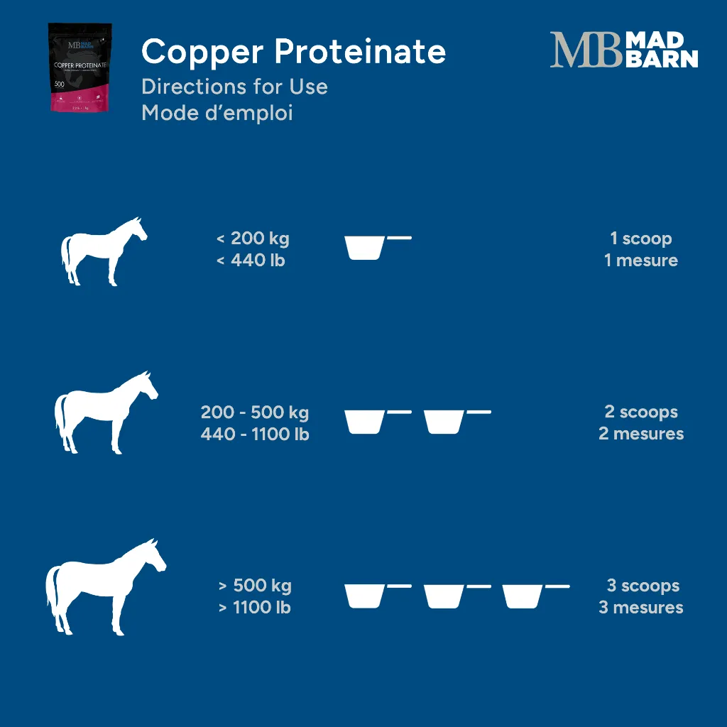 MB Copper Prot #3.webp