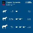 MB Copper Prot #3.webp