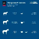 MB Manganese Prot #3.webp