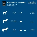 MB Monosodium #4.webp