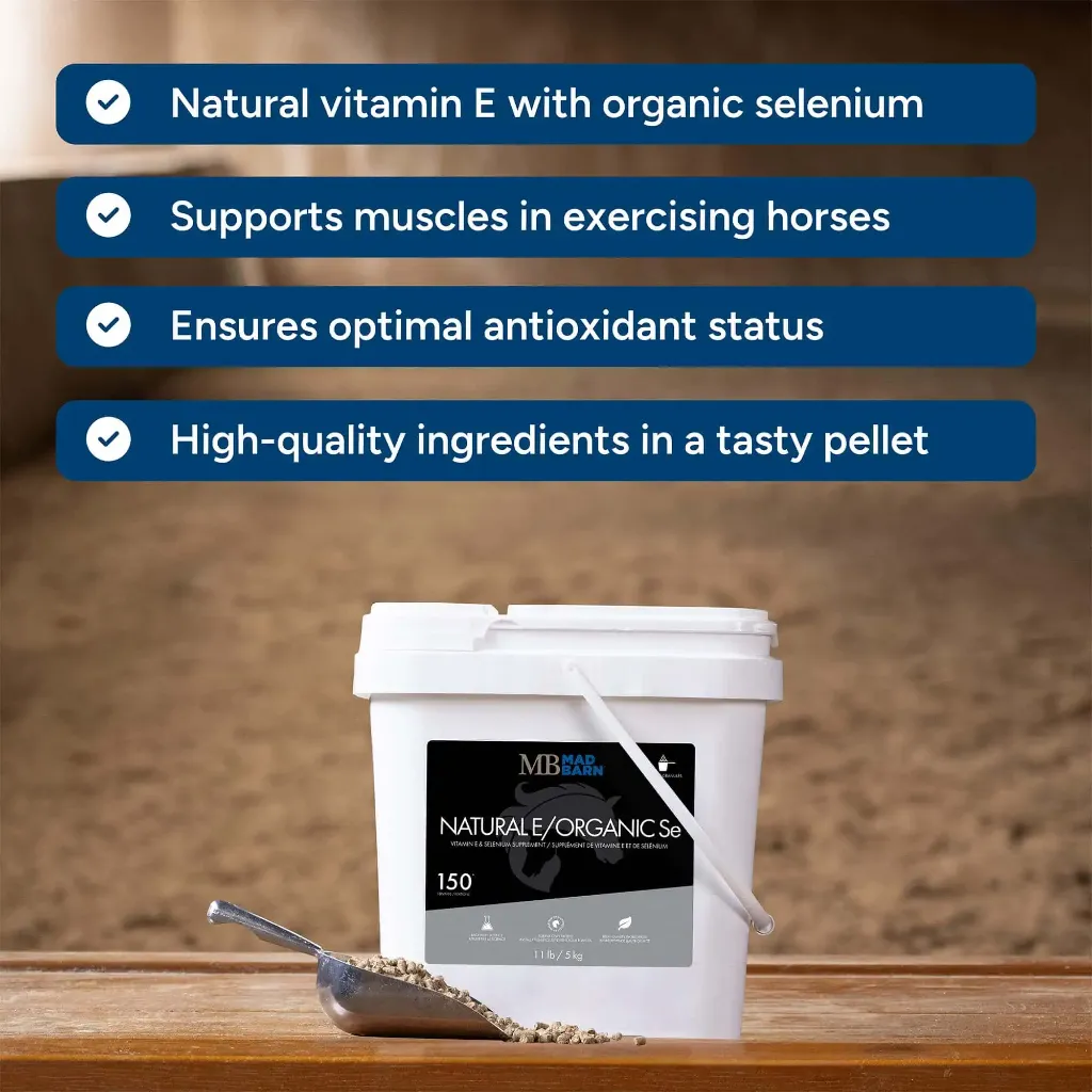 MB Natural E #4.webp