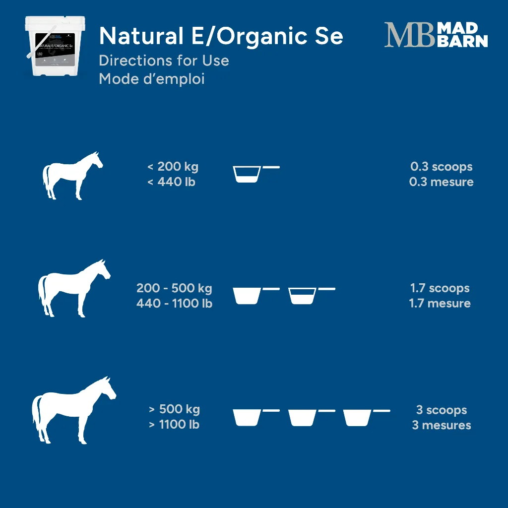 MB Natural E #3.webp