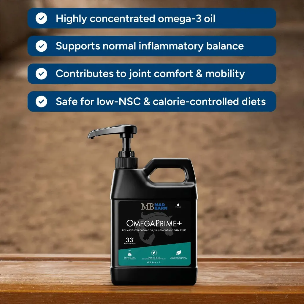 omegaprime-supplements-for-horses-highly-concentrated-omega-3-oil-mad-barn-equine-1.webp