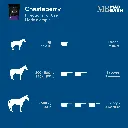 MB Chasteberry #4.webp