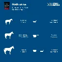 MB Meth #3.webp