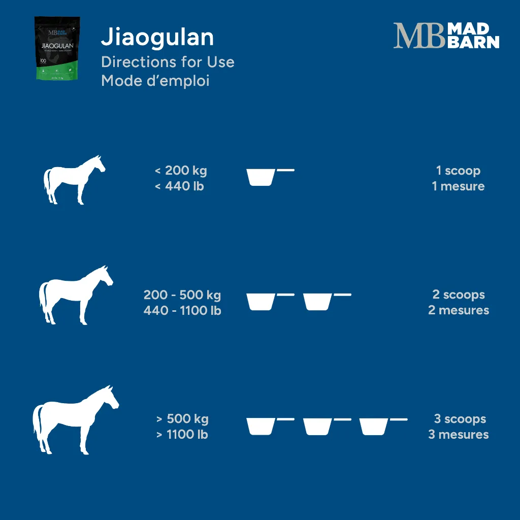 MB Jiaog #4.webp