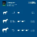 MB Jiaog #4.webp