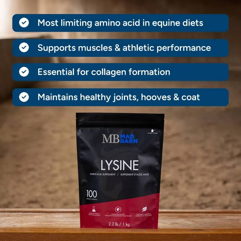 MB Lysine #3.webp