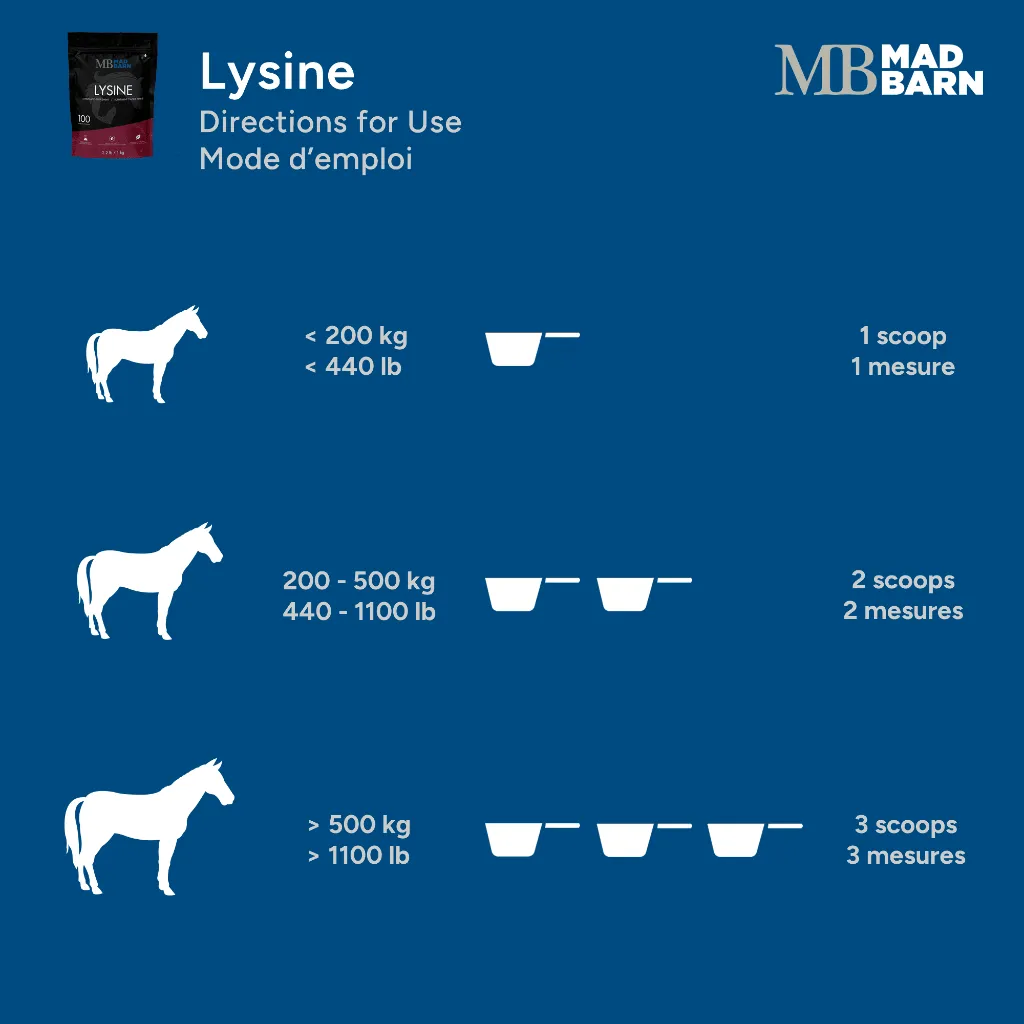 MB Lysine #4.webp