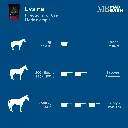 MB Lysine #4.webp