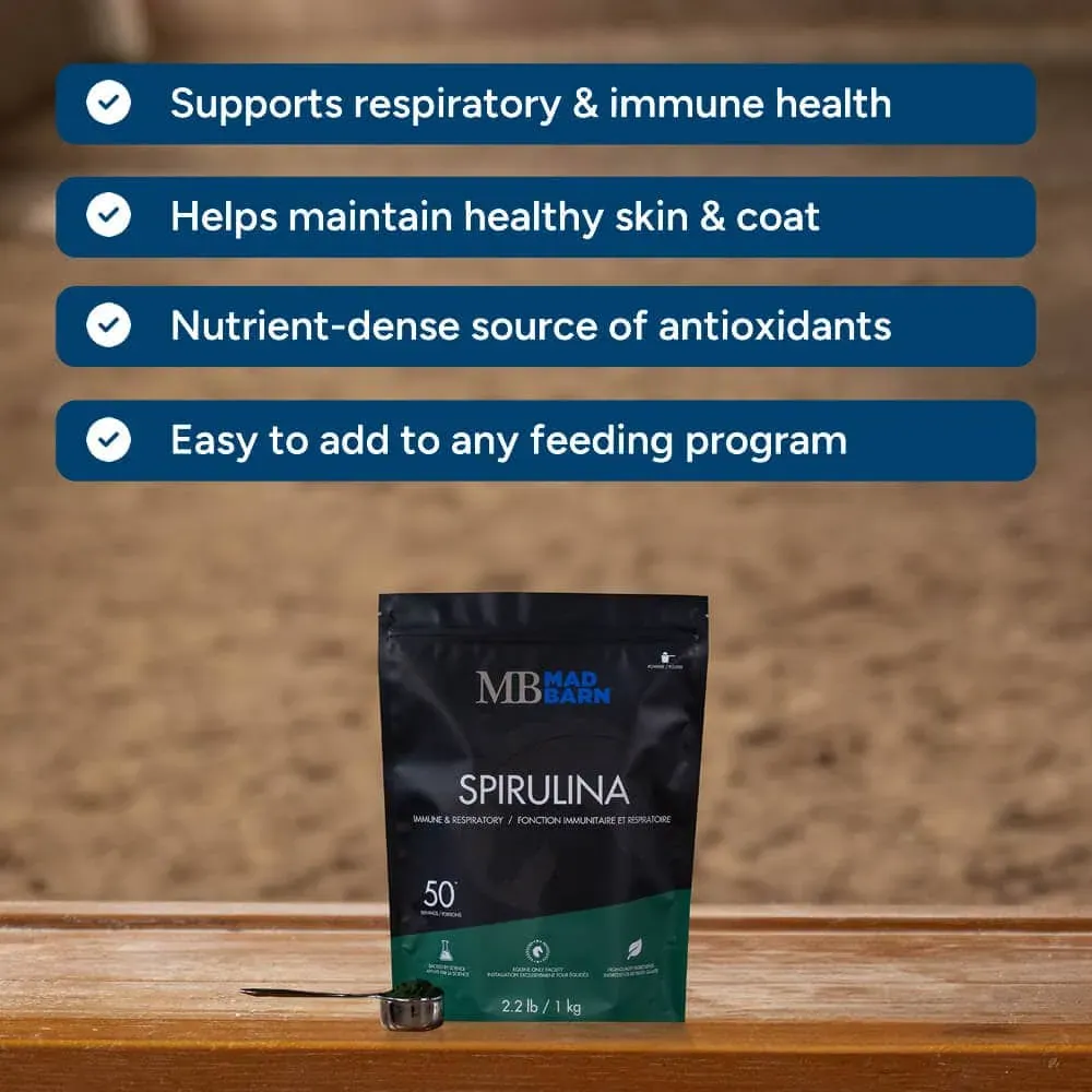 MB Spirul #3.webp