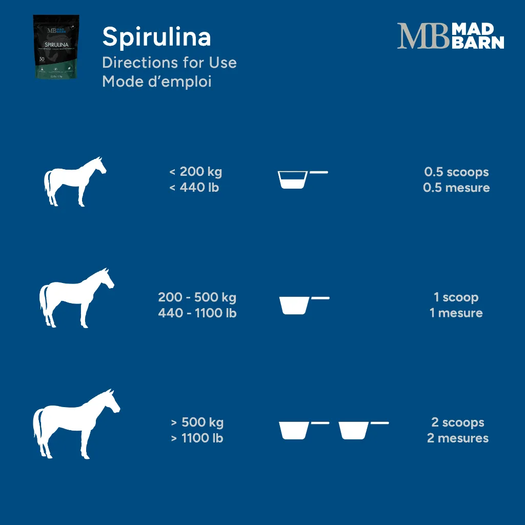 MB Spirul #4.webp
