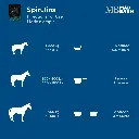 MB Spirul #4.webp