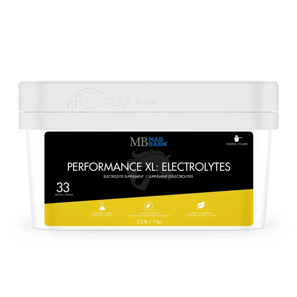 MB Perf #3.webp