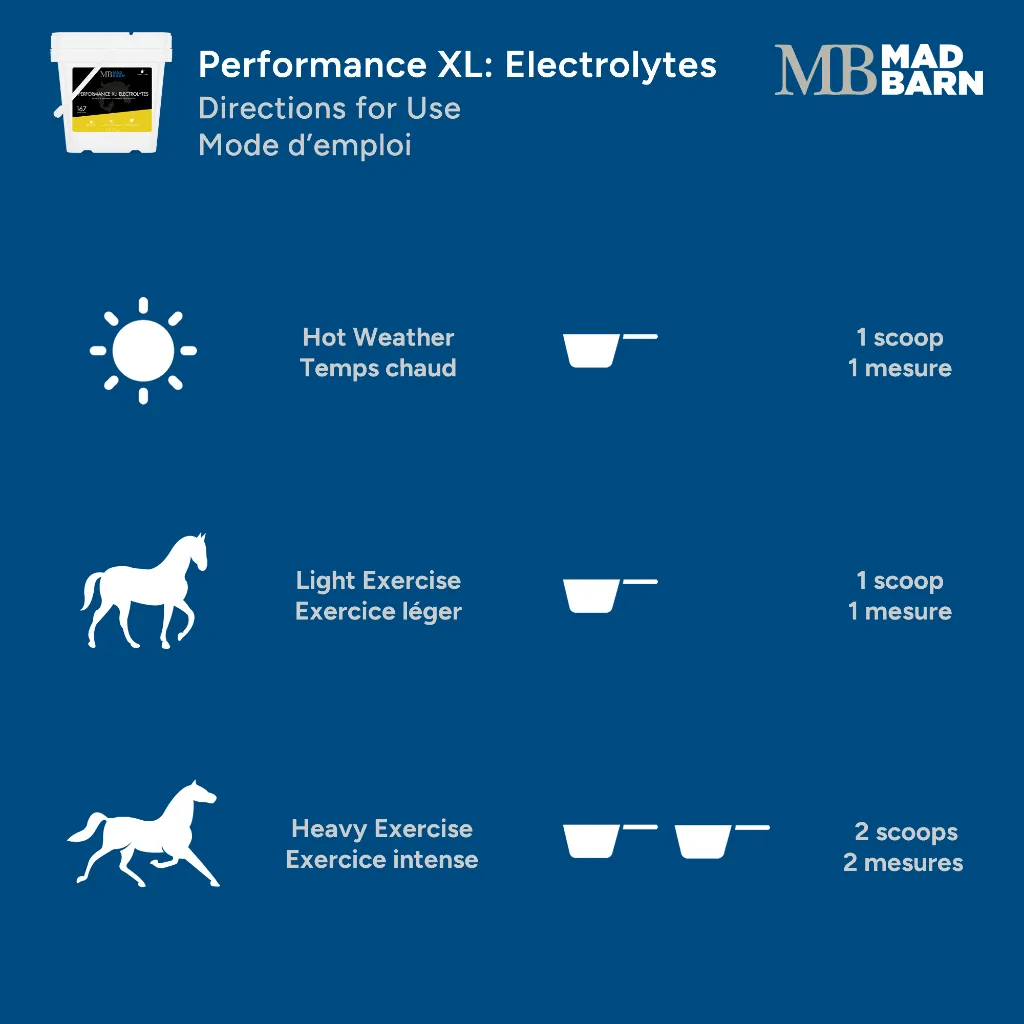 MB Perf #6.webp