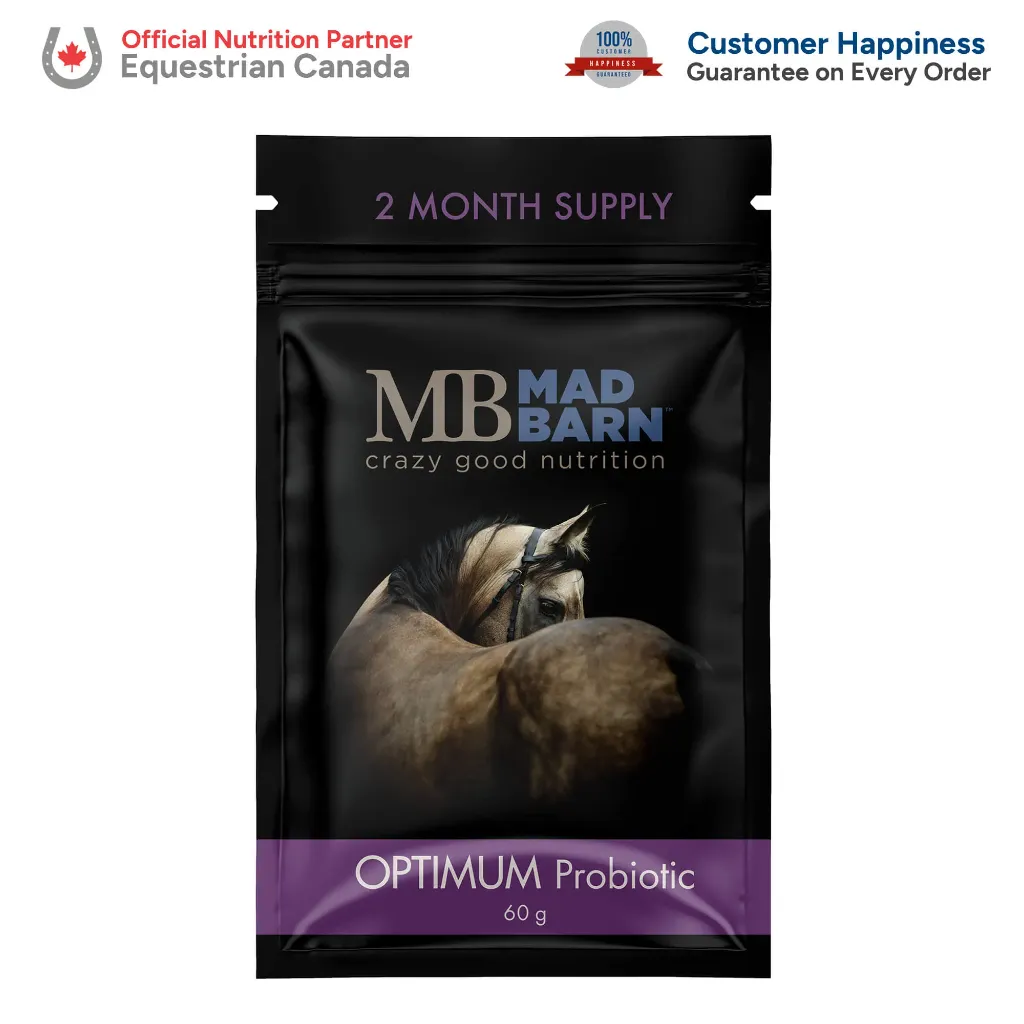 MB Prob #2.webp