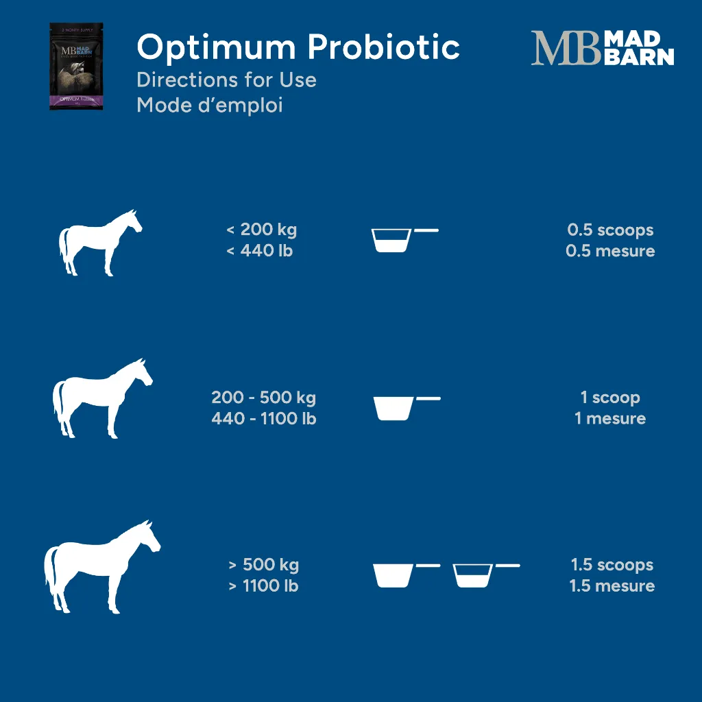 MB Prob #4.webp