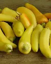 WCS Peppers - Hungarian Yellow Hot Wax