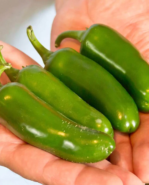 WCS Peppers - Jalapeno M