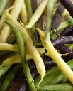 WCS Bean - TRICOLOUR BEAN BLEND
