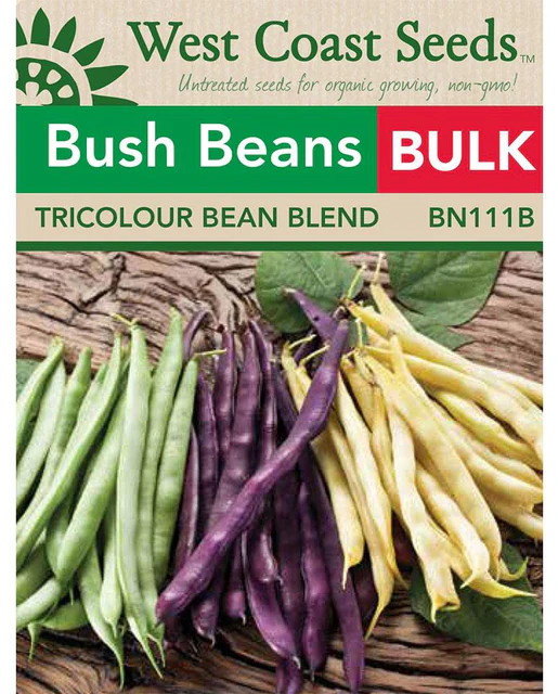 WCS Bean - TRICOLOUR BEAN BLEND