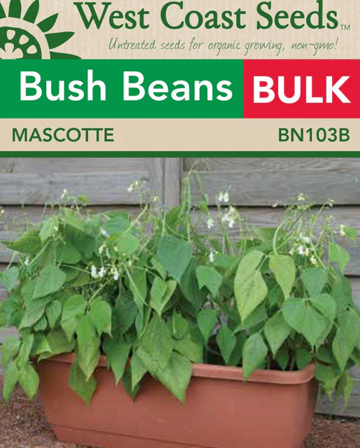 WCS Beans - Mascotte