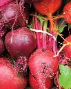 WCS Beets - Beet Blend