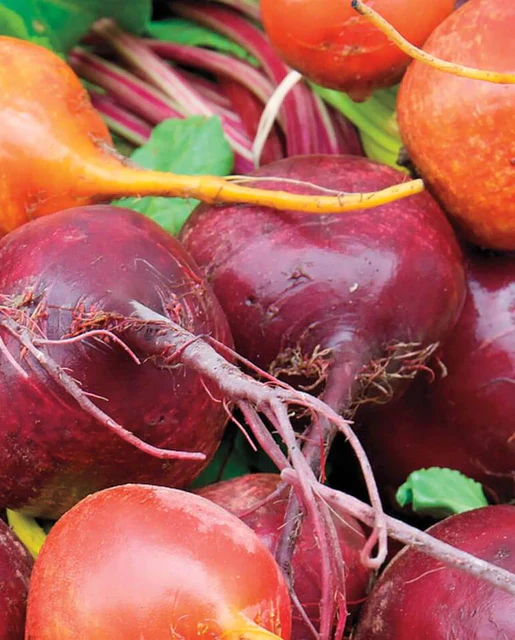 WCS Beets - Beet Blend