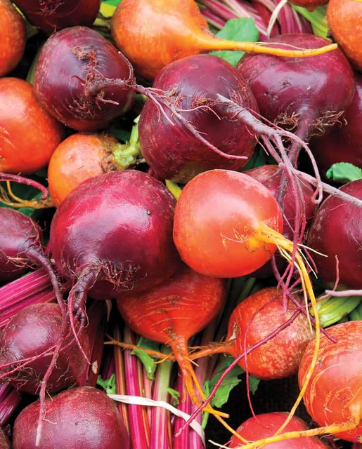 WCS Beets - Beet Blend