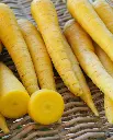WCS Carrots - Gold Nugget F1 (yellow)