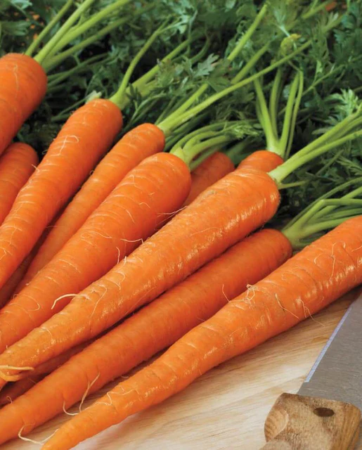 WCS Carrots - Neptune F1