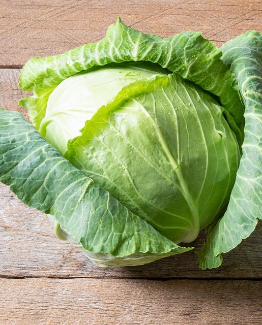 WCS Cabbage - Copenhagen Market