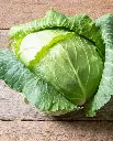 WCS Cabbage - Copenhagen Market